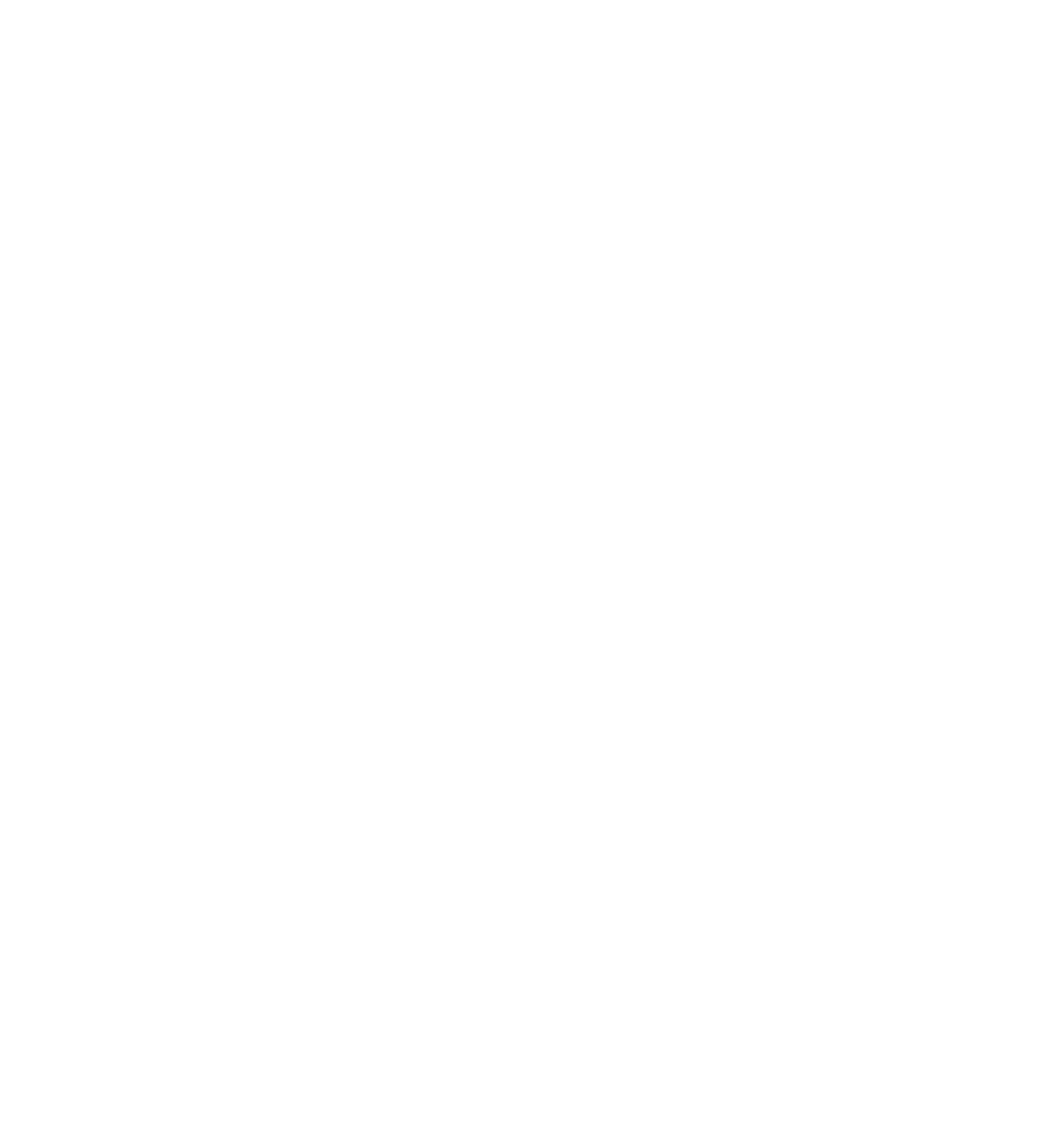 best website design raipur