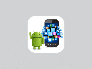 Mobile App Development in Raipur